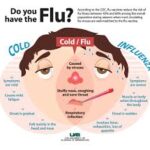 Phân biệt cảm lạnh và cảm cúm Cảm lạnh vs cảm cúm