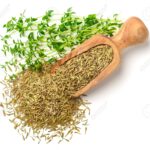 Các tác dụng của cây cỏ xạ hương - thyme dried thyme leaves in the wooden scoop, with fresh thyme, isolated on white, top view