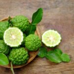 Kaffir Lime