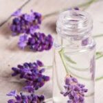 9 loại tinh dầu phổ biến HYdrosol hoa oải hương