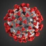 Wuhan Virus