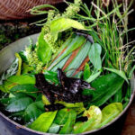 Xông cảm